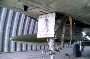 510th Fighter Squadron "Buzzards of Bien Hoa" 510th Fighter Squadron "Buzzards of Bien Hoa"