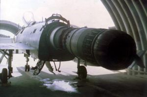 510th Fighter Squadron "Buzzards of Bien Hoa" 510th Fighter Squadron "Buzzards of Bien Hoa"