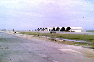 510th Fighter Squadron "Buzzards of Bien Hoa" 510th Fighter Squadron "Buzzards of Bien Hoa"