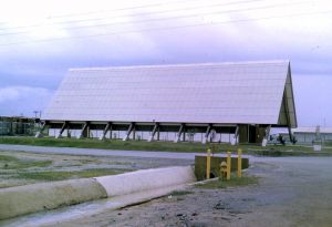 510th Fighter Squadron "Buzzards of Bien Hoa" 510th Fighter Squadron "Buzzards of Bien Hoa"