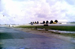 510th Fighter Squadron "Buzzards of Bien Hoa" 510th Fighter Squadron "Buzzards of Bien Hoa"