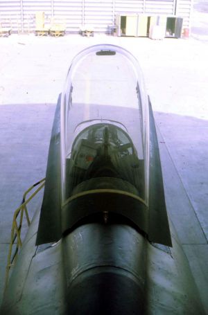 510th Fighter Squadron "Buzzards of Bien Hoa" 510th Fighter Squadron "Buzzards of Bien Hoa"