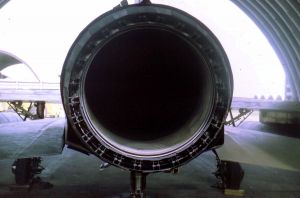 510th Fighter Squadron "Buzzards of Bien Hoa" 510th Fighter Squadron "Buzzards of Bien Hoa"