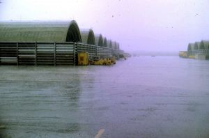 510th Fighter Squadron "Buzzards of Bien Hoa" 510th Fighter Squadron "Buzzards of Bien Hoa"